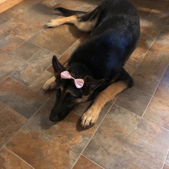 Meet your Posher, Laura - Picture 1 of 1